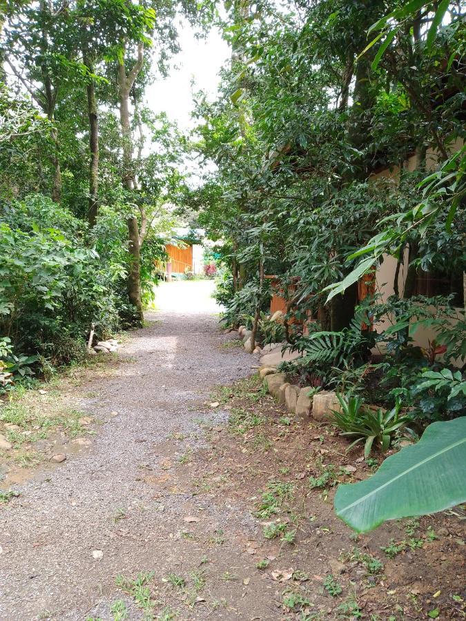 Casitas Del Bosque Monteverde. 外观 照片